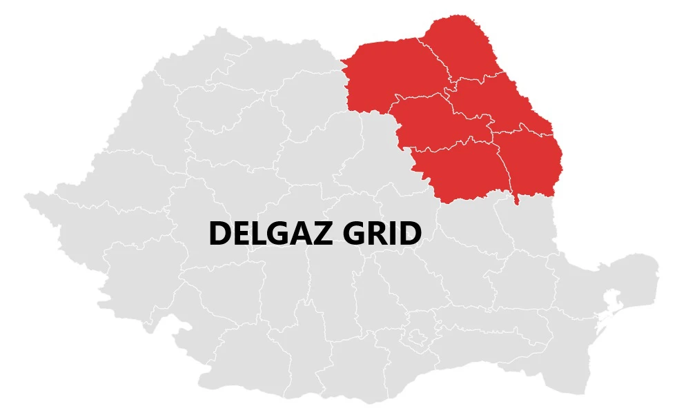 Delgaz Grid